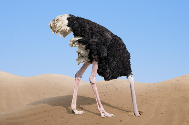 social media management