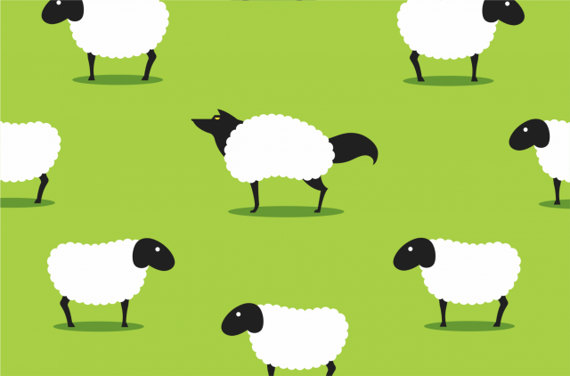 search engine optimisation